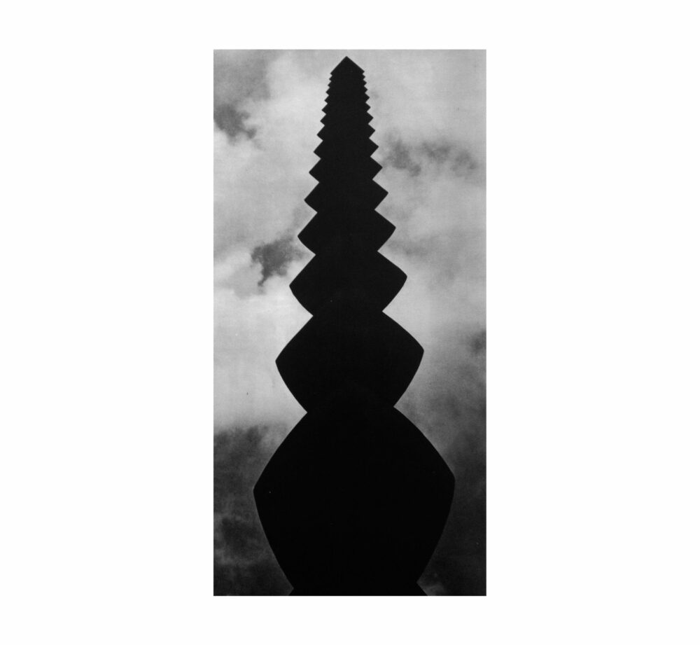 The endless column I - Galerie Negropontes