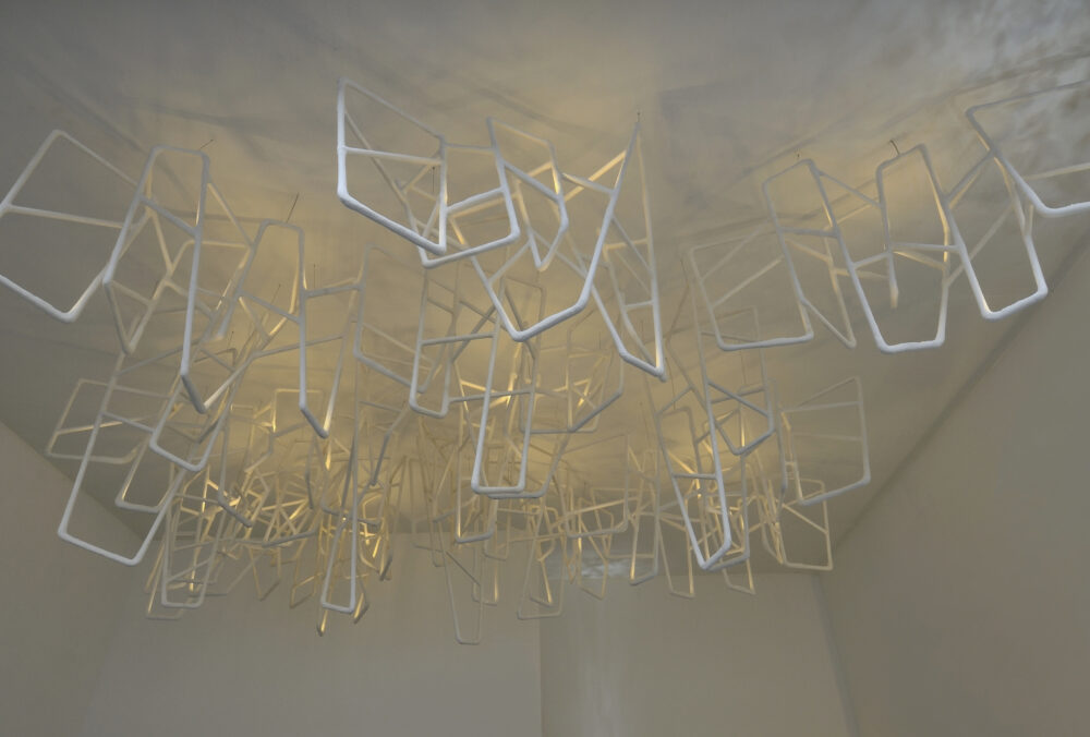 Leopoldine installation - Galerie Negropontes