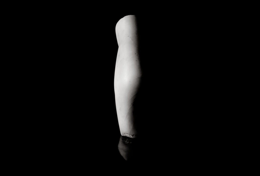 Brancusi torso - Galerie Negropontes