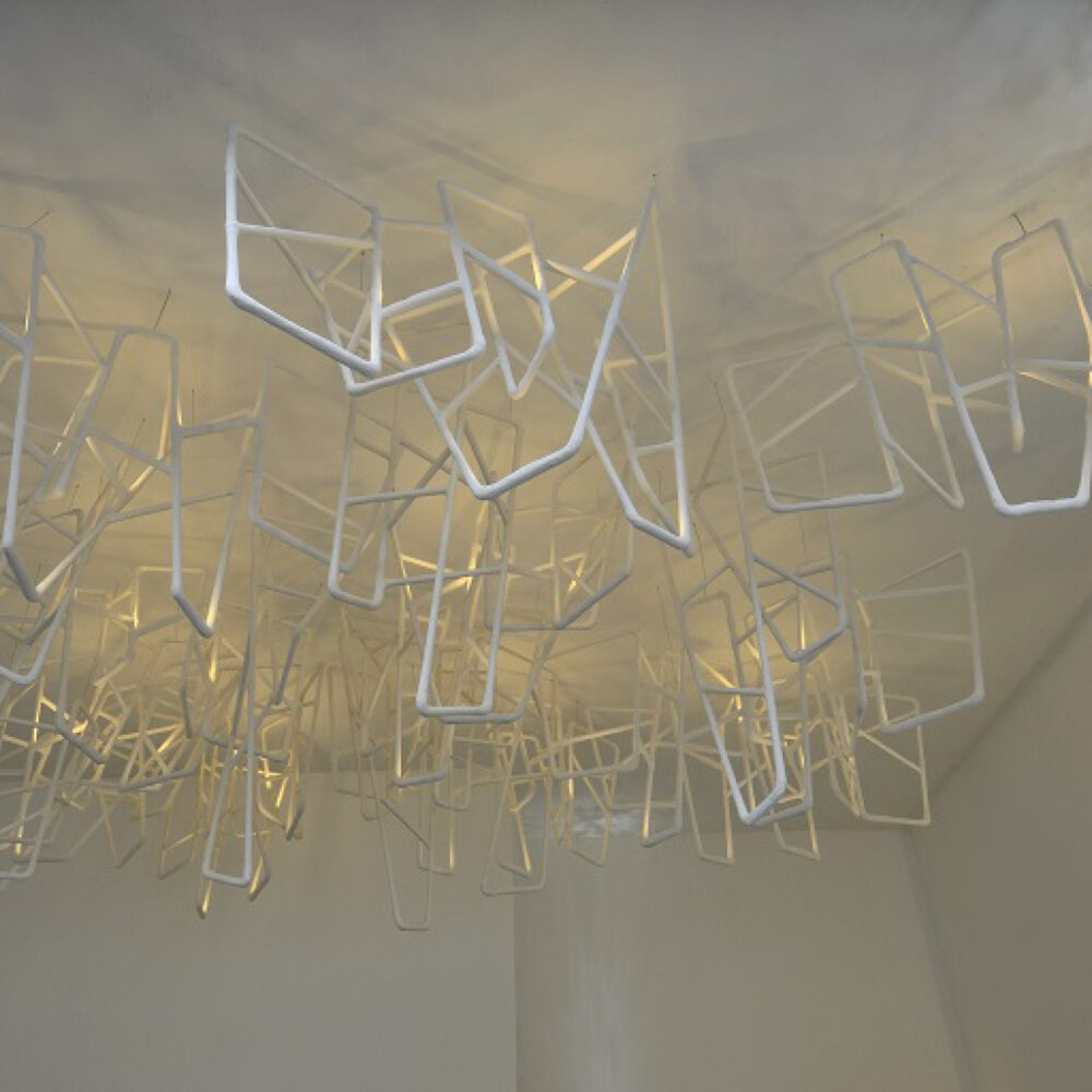 Leopoldine installation - Galerie Negropontes