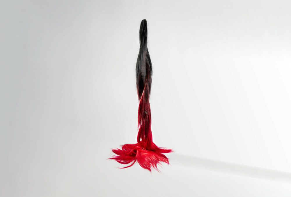 Presence Black Rubis - Galerie Negropontes