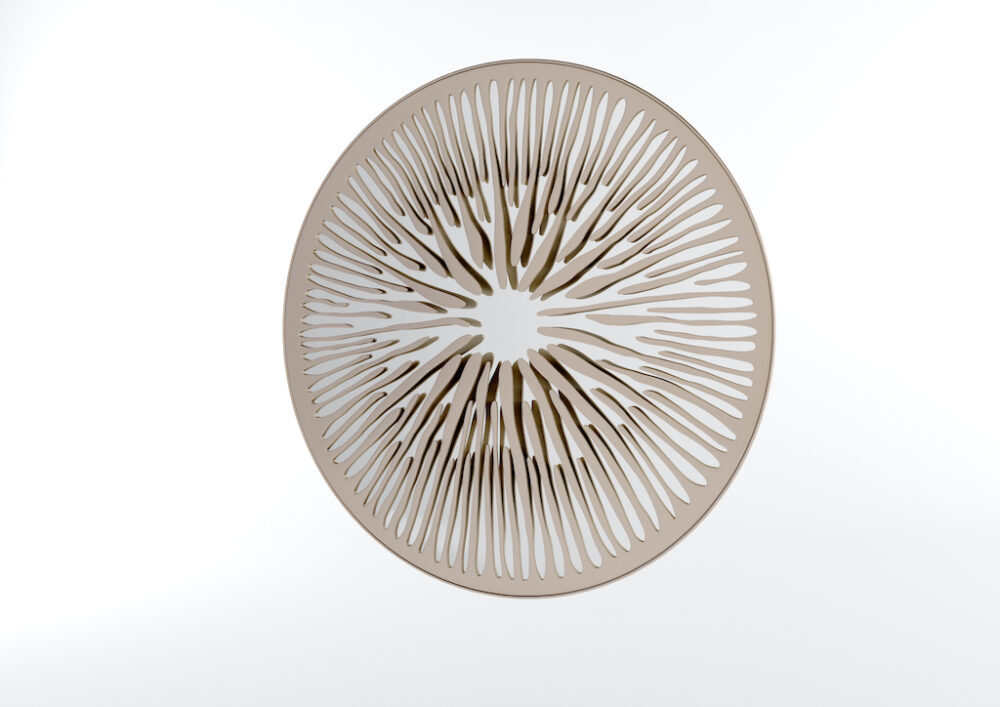 PUPIL - Galerie Negropontes