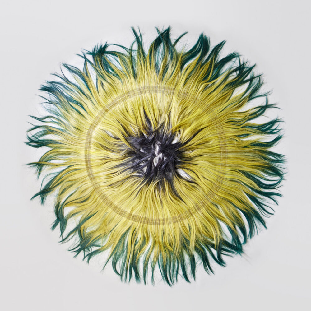 Halo Olivine - Galerie Negropontes