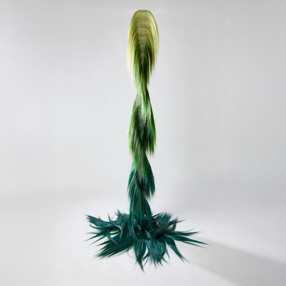 Canopy - Galerie Negropontes