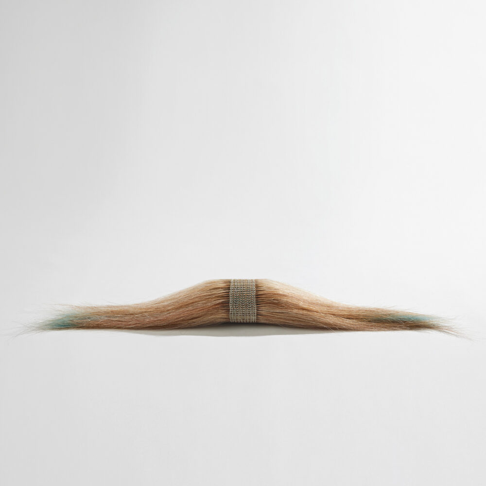 Poséidonia - Galerie Negropontes