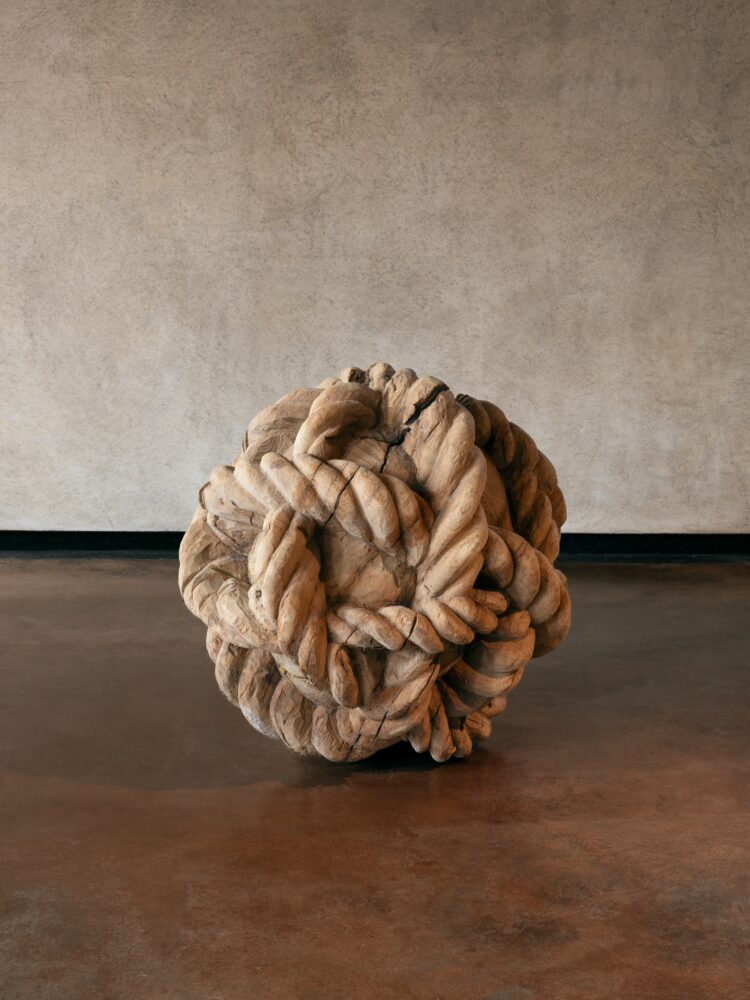 Take the World Into the World - Galerie Negropontes