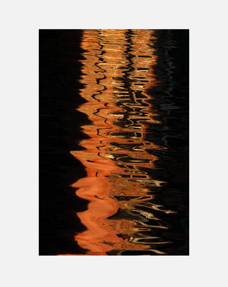 Orange mécanique - Galerie Negropontes