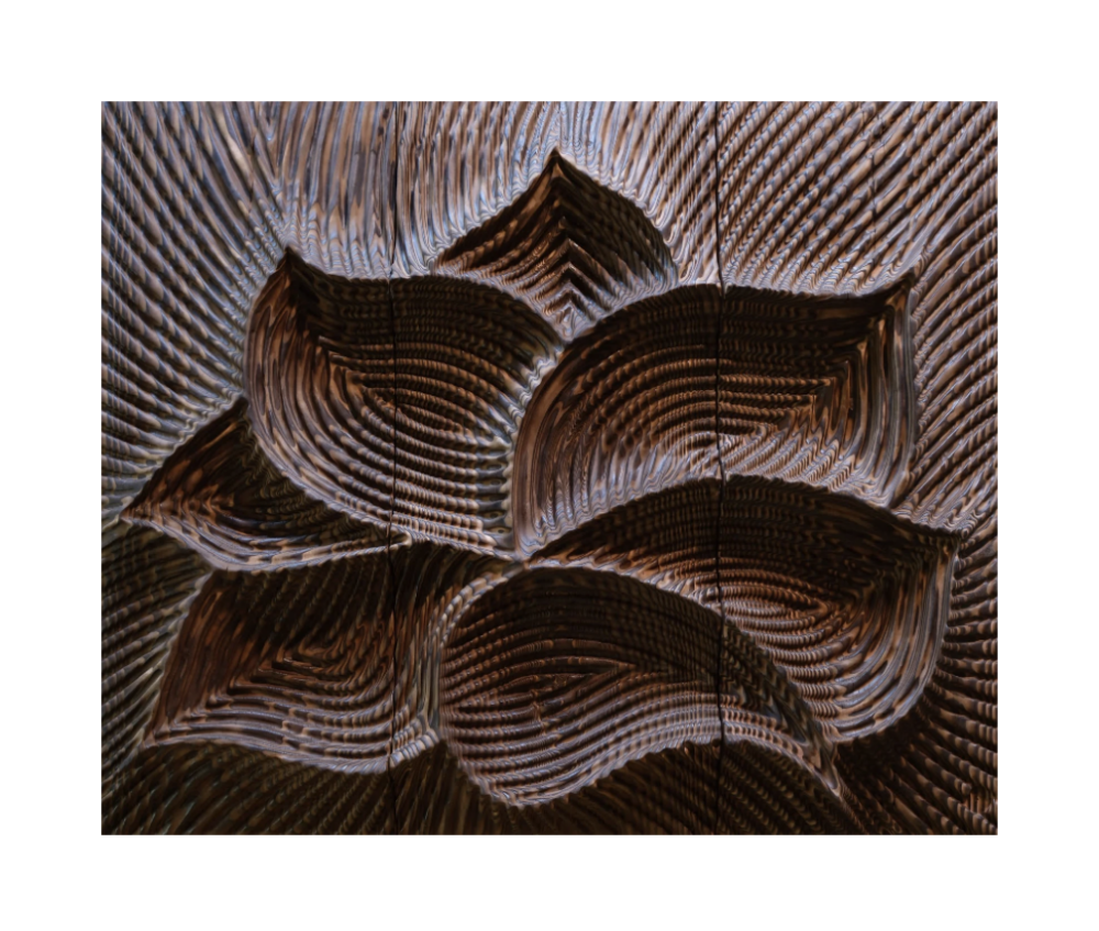 Petal - Galerie Negropontes