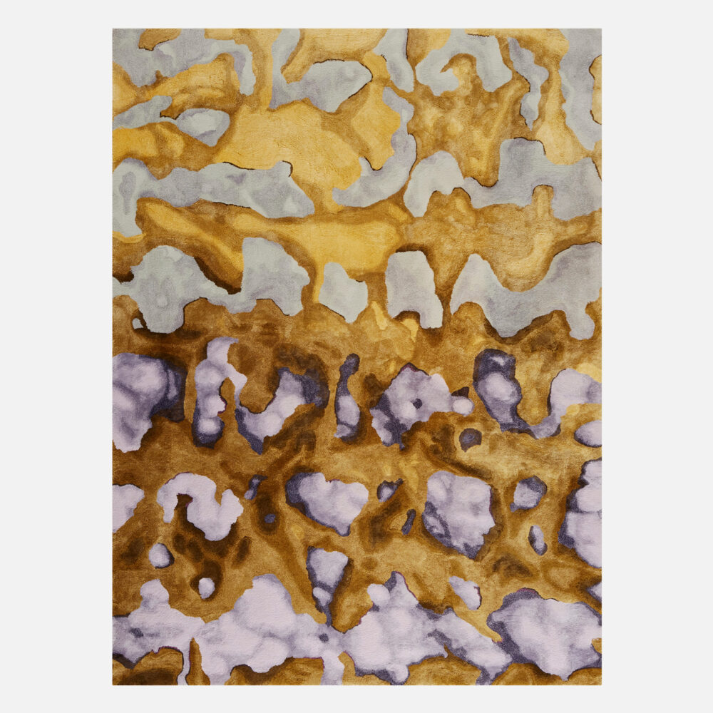 Lichens - Galerie Negropontes