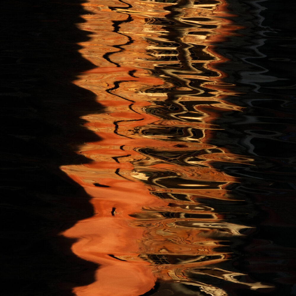 Orange mécanique - Galerie Negropontes