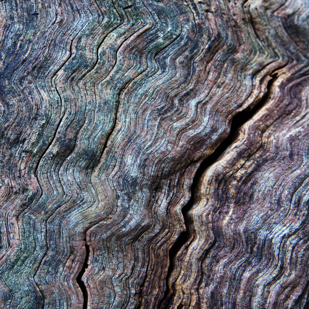 Sismo - Galerie Negropontes