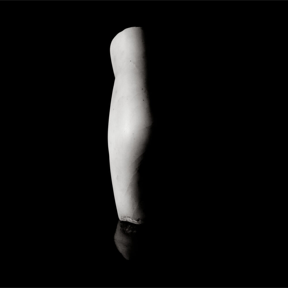 Torse Brancusi - Galerie Negropontes