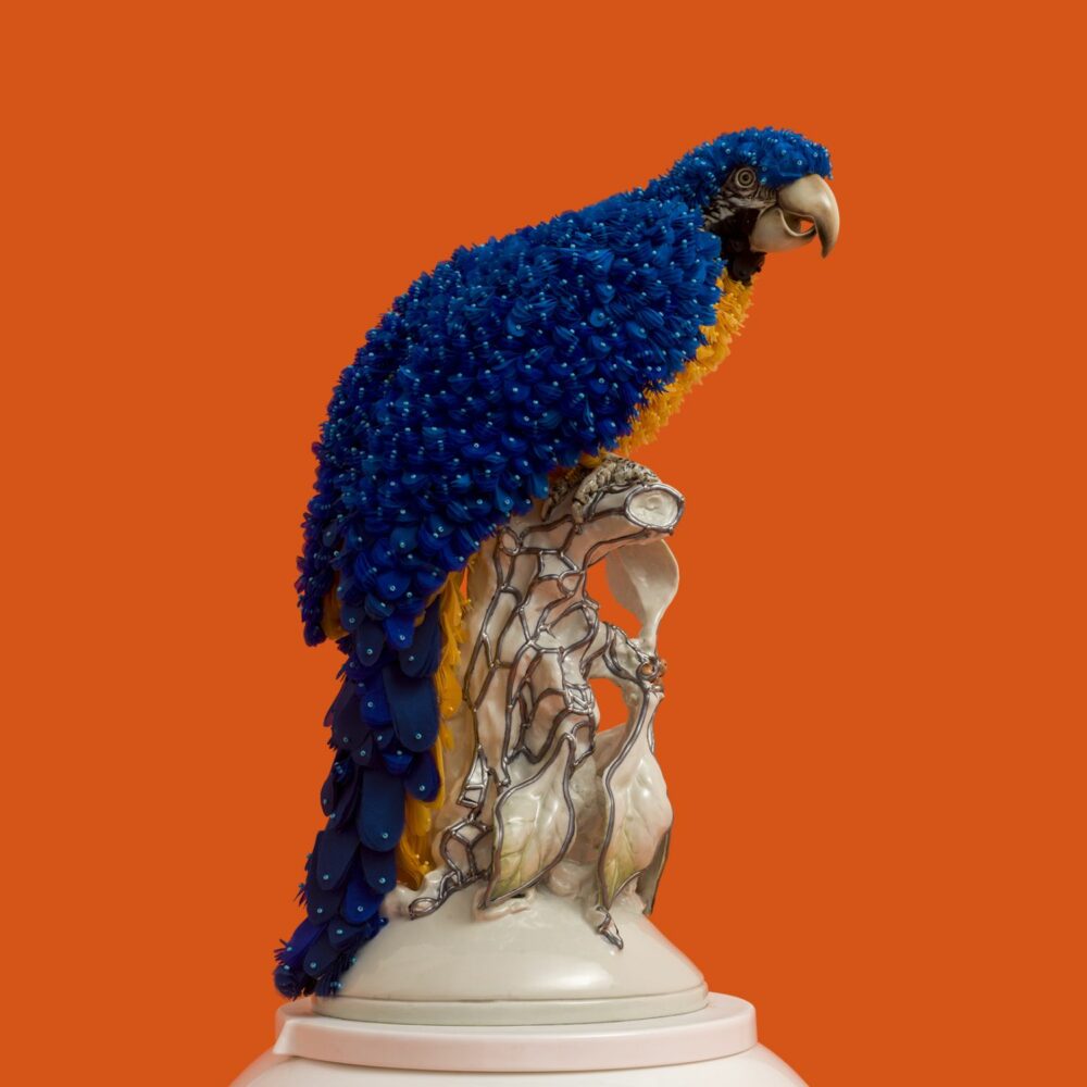 Blue Macaw - Galerie Negropontes