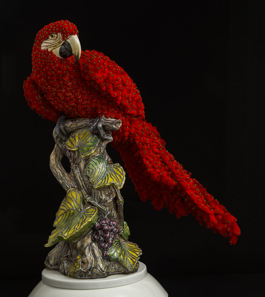 Red Macaw - Galerie Negropontes