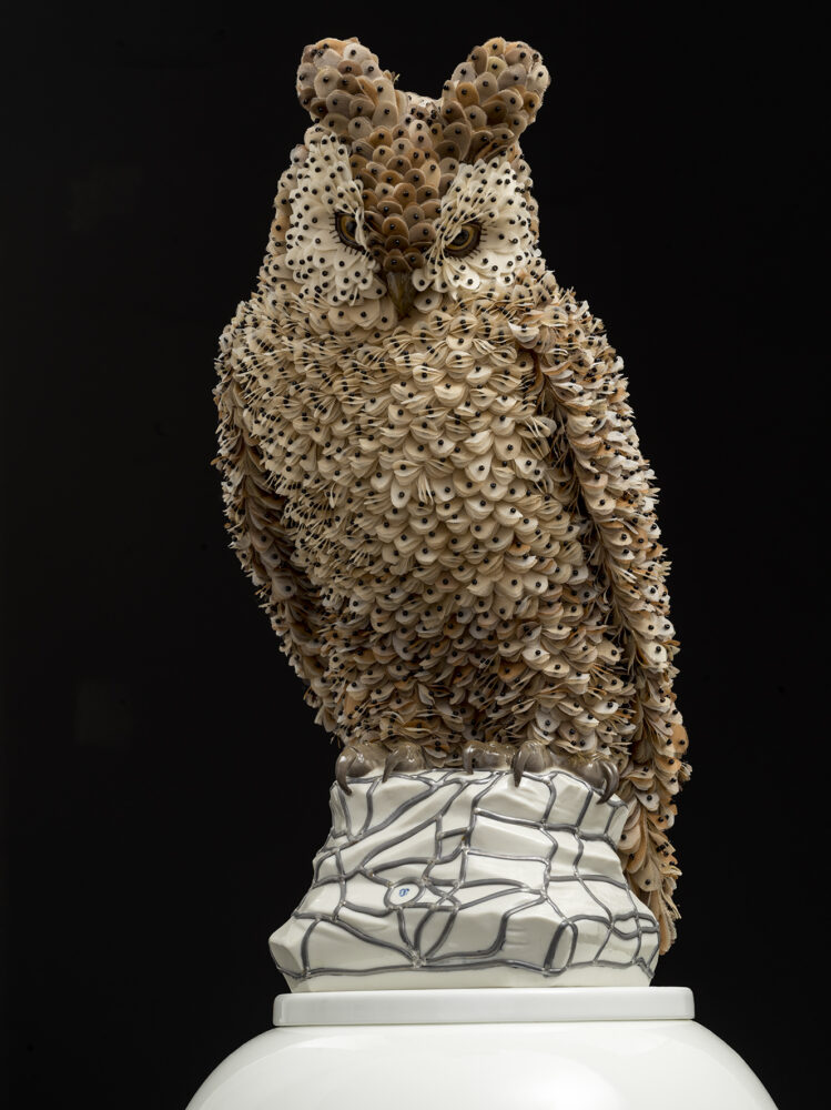 Barn owl - Galerie Negropontes