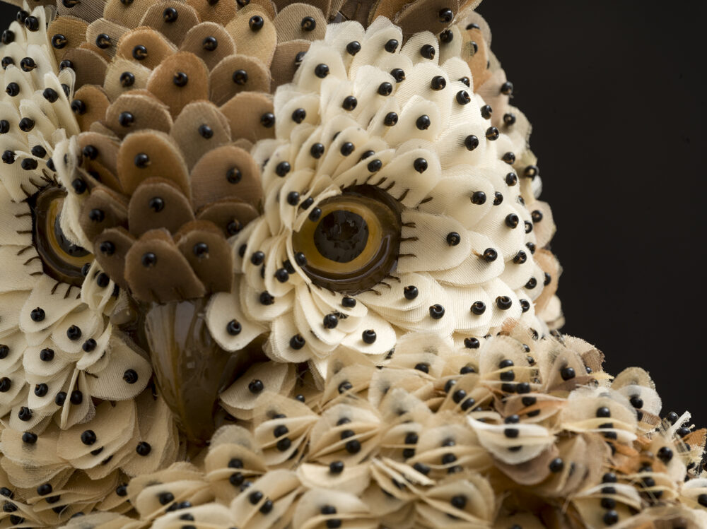Barn owl - Galerie Negropontes