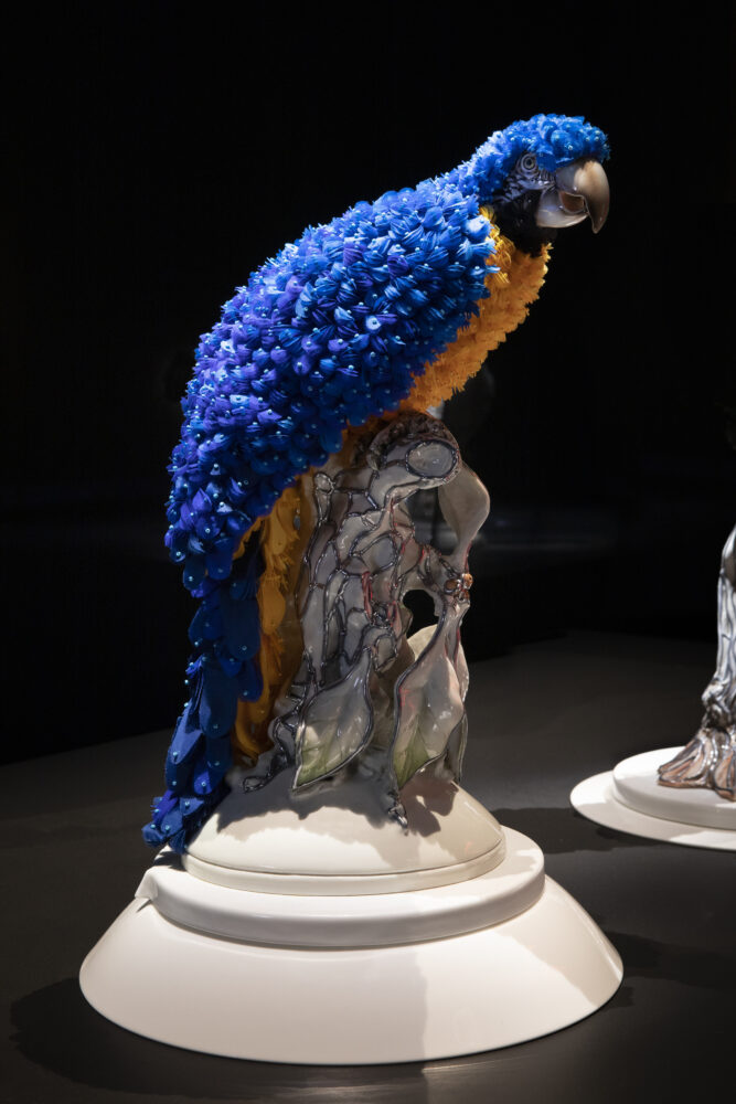 Blue Macaw - Galerie Negropontes