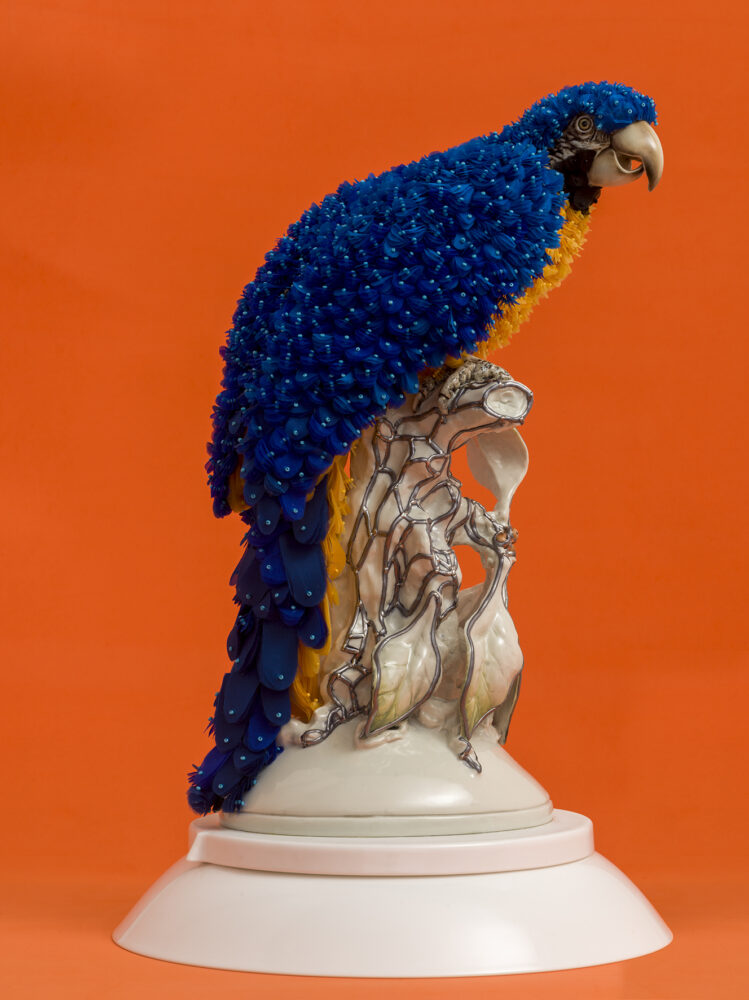 Blue Macaw - Galerie Negropontes