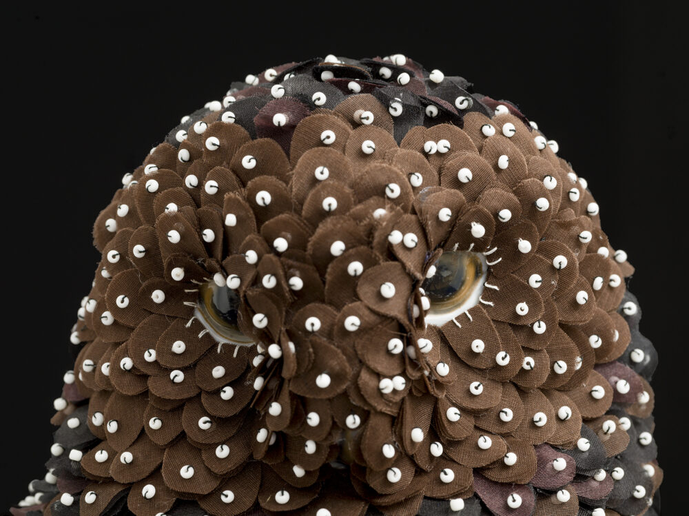 Brown owl - Galerie Negropontes