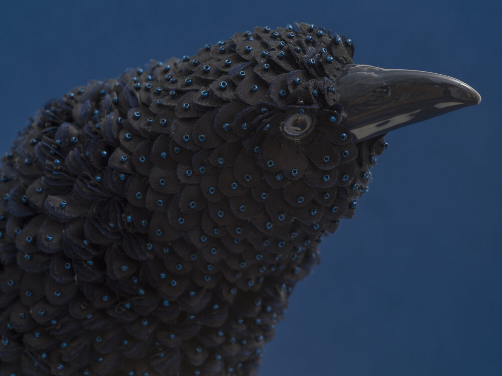 Crow - Galerie Negropontes