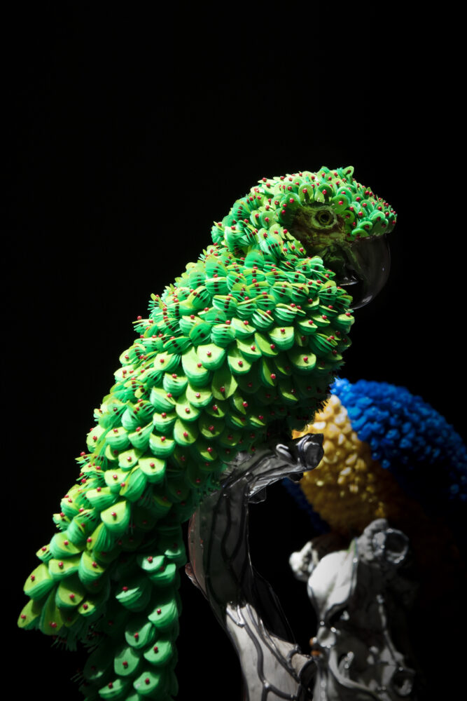 Green Macaw - Galerie Negropontes