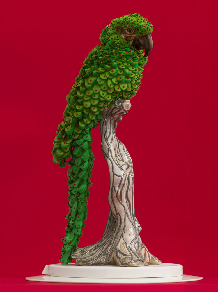 Green Macaw - Galerie Negropontes