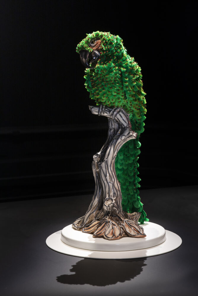Green Macaw - Galerie Negropontes