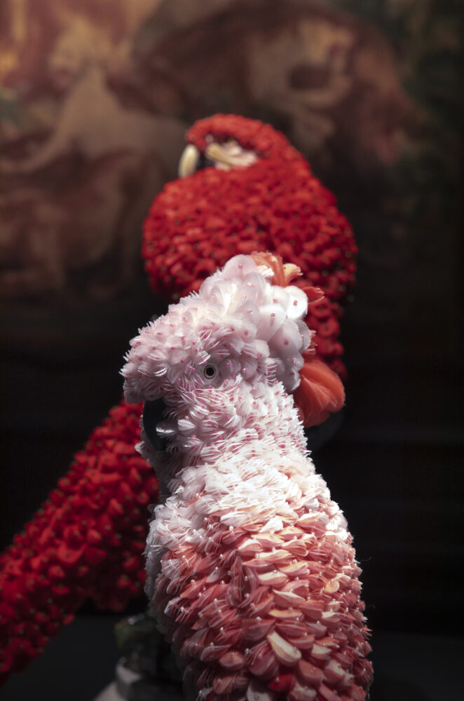 Pink - Galerie Negropontes