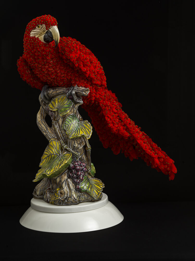 Red Macaw - Galerie Negropontes