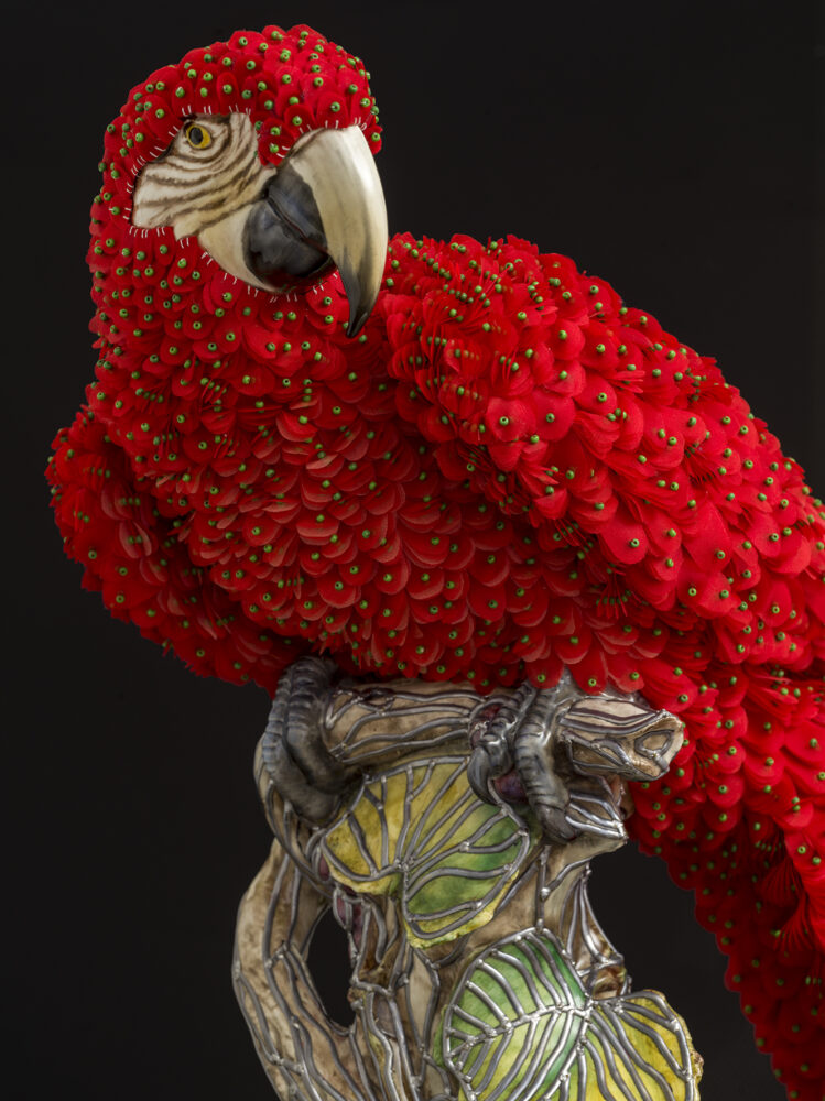 Red Macaw - Galerie Negropontes
