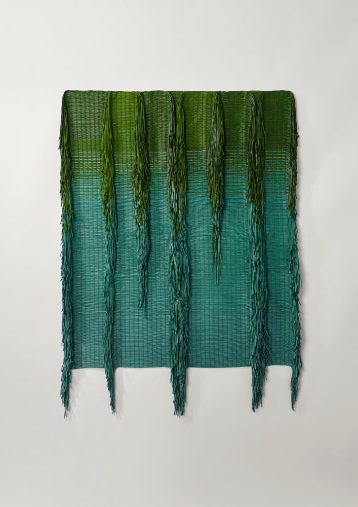 Amazonie - Galerie Negropontes