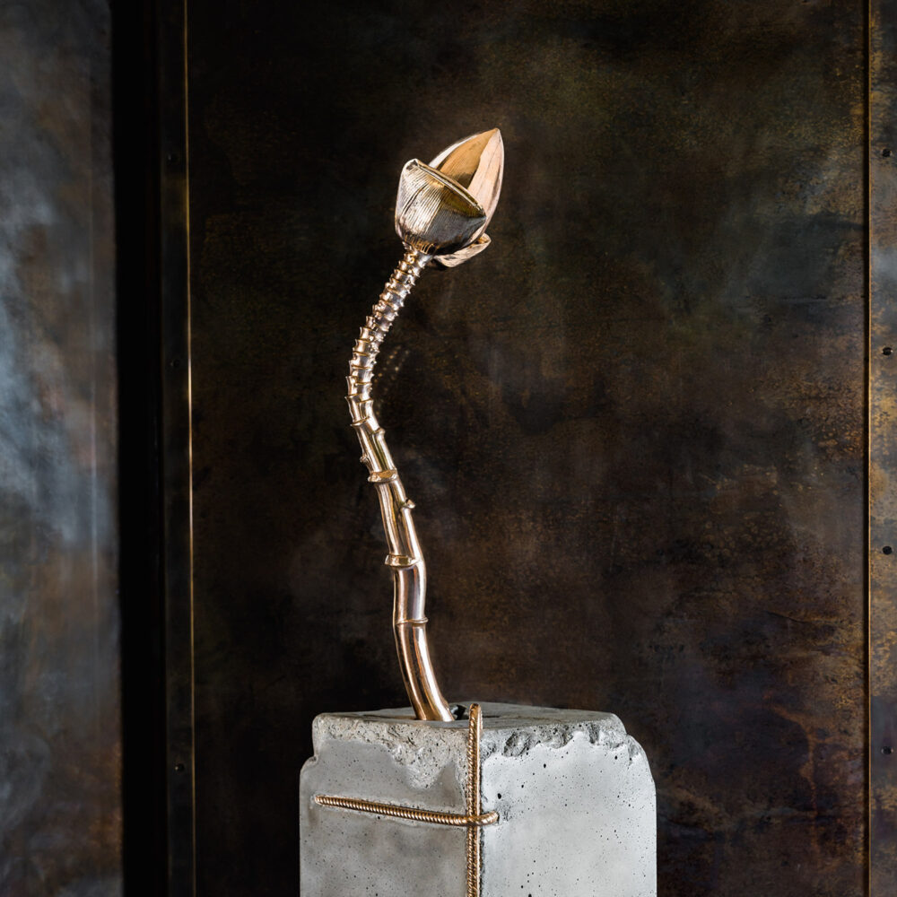 Vulnerable - Galerie Negropontes