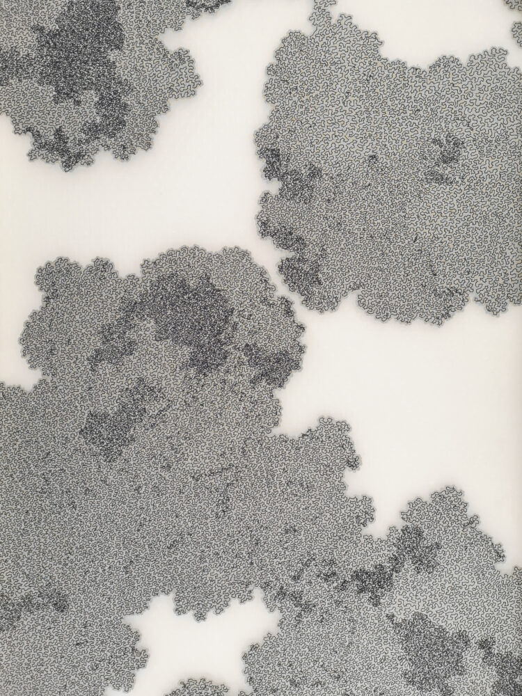Chrôma 6575 - IV - Galerie Negropontes