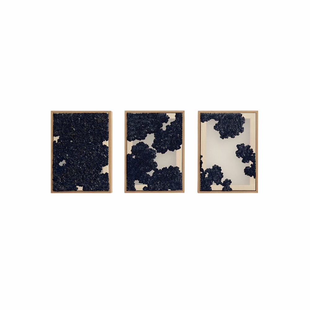 Chrôma 6575 – I,II,III - Galerie Negropontes