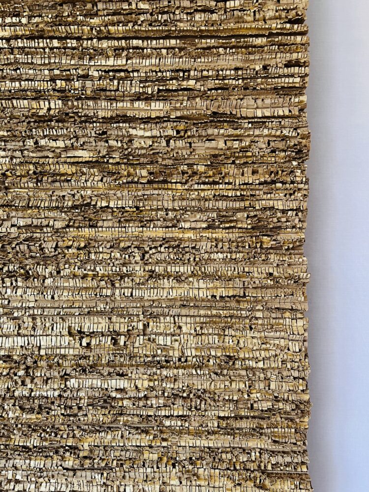 Lichens 3 - Galerie Negropontes