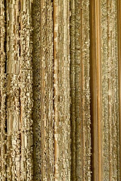 Ecorces 10 - Galerie Negropontes