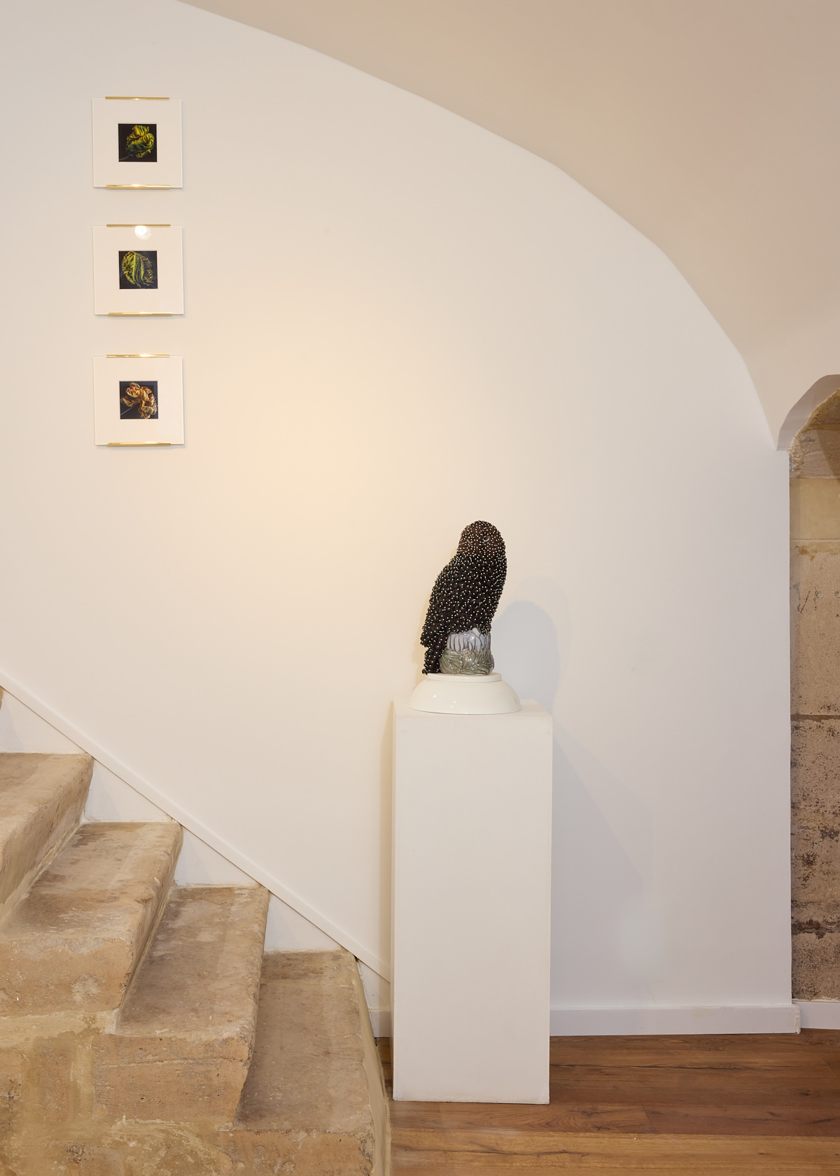 Parisian new space - Galerie Negropontes