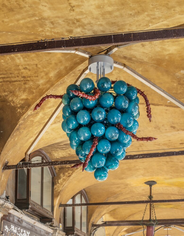 Nature Rebirth - Galerie Negropontes