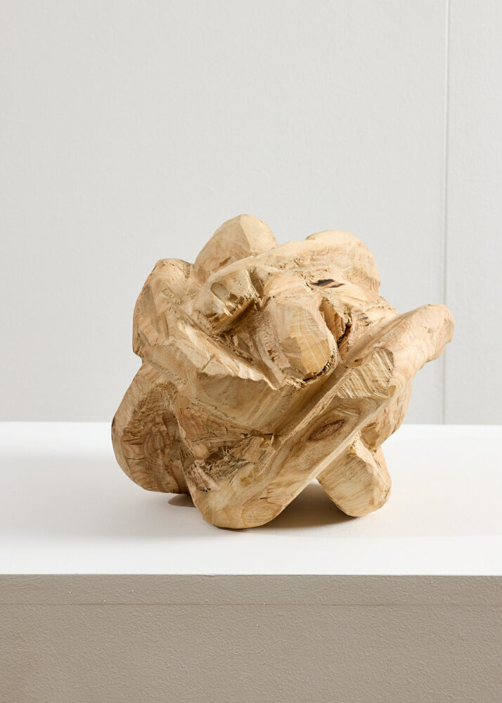 Take the World Into the World - Galerie Negropontes