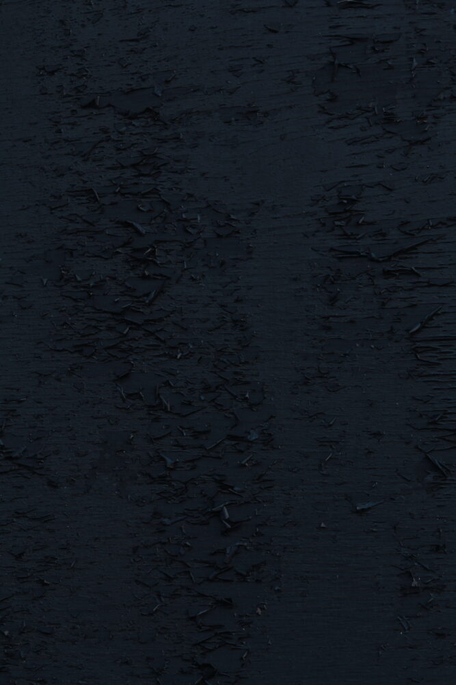 Nychtophilia - Galerie Negropontes