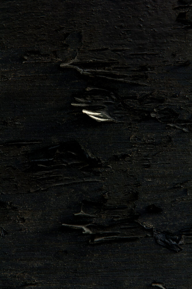 Nyx - Galerie Negropontes