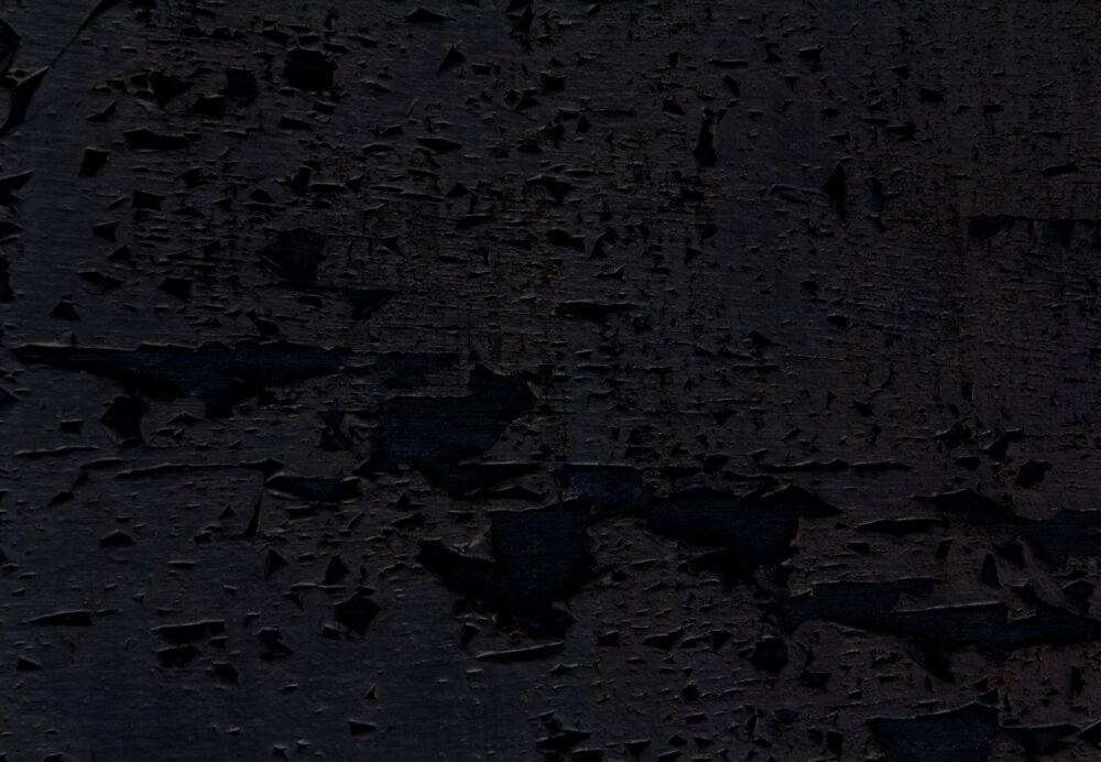 Song from Neptune - Galerie Negropontes