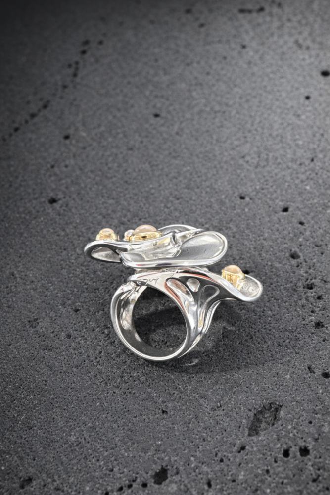 Tummelisa - Galerie Negropontes