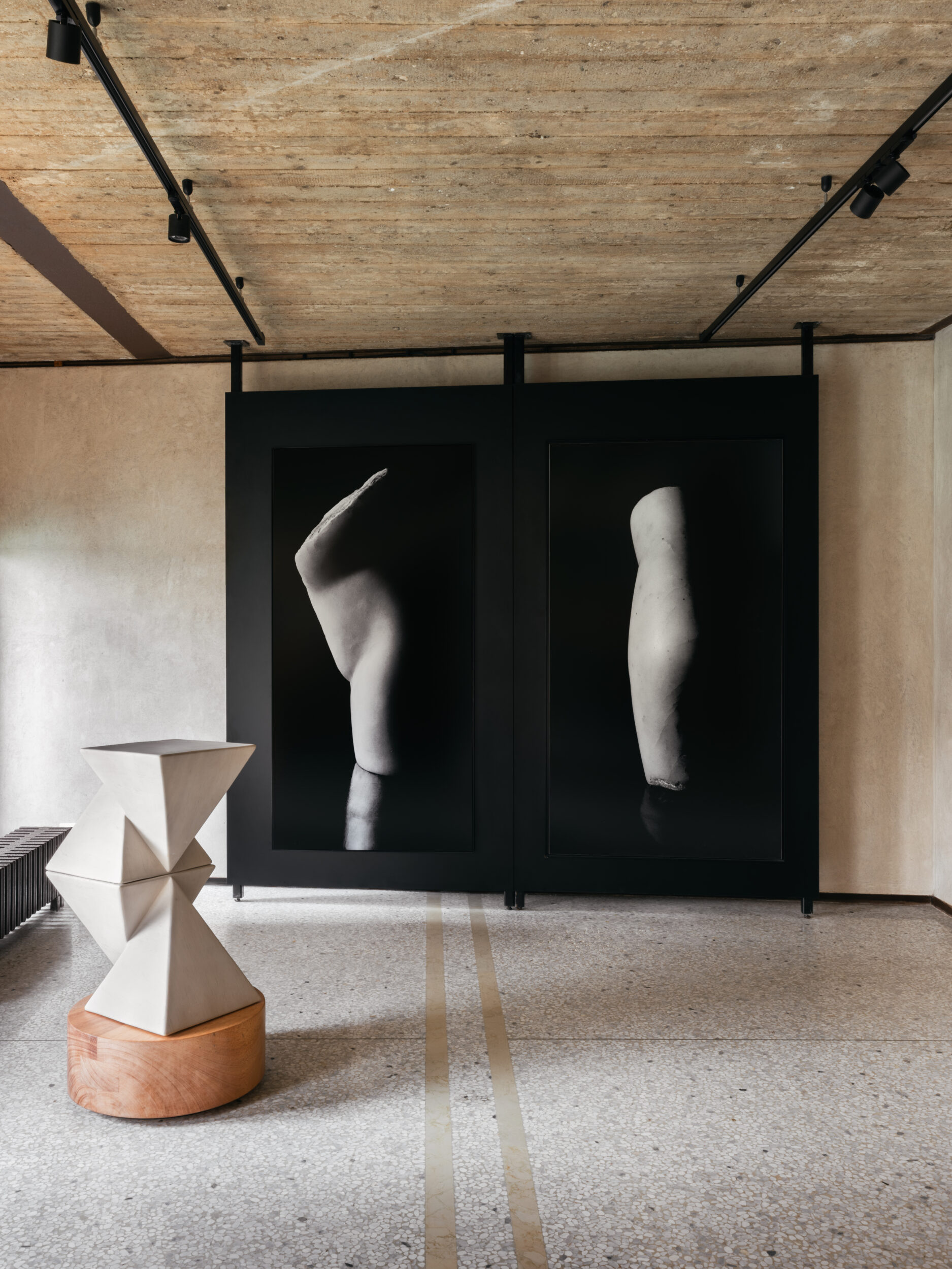 Reflections on Brancusi, Venice - Galerie Negropontes