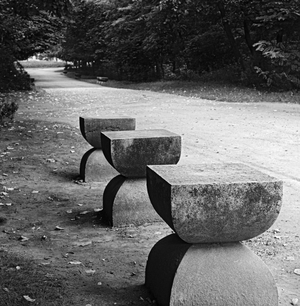 Allée des Chaises - Galerie Negropontes