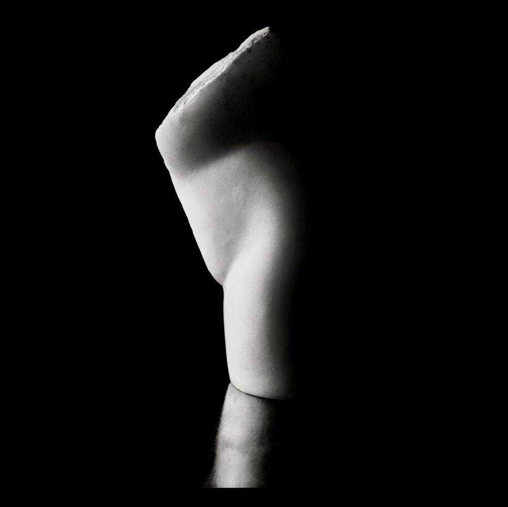 Torse 2 - Galerie Negropontes