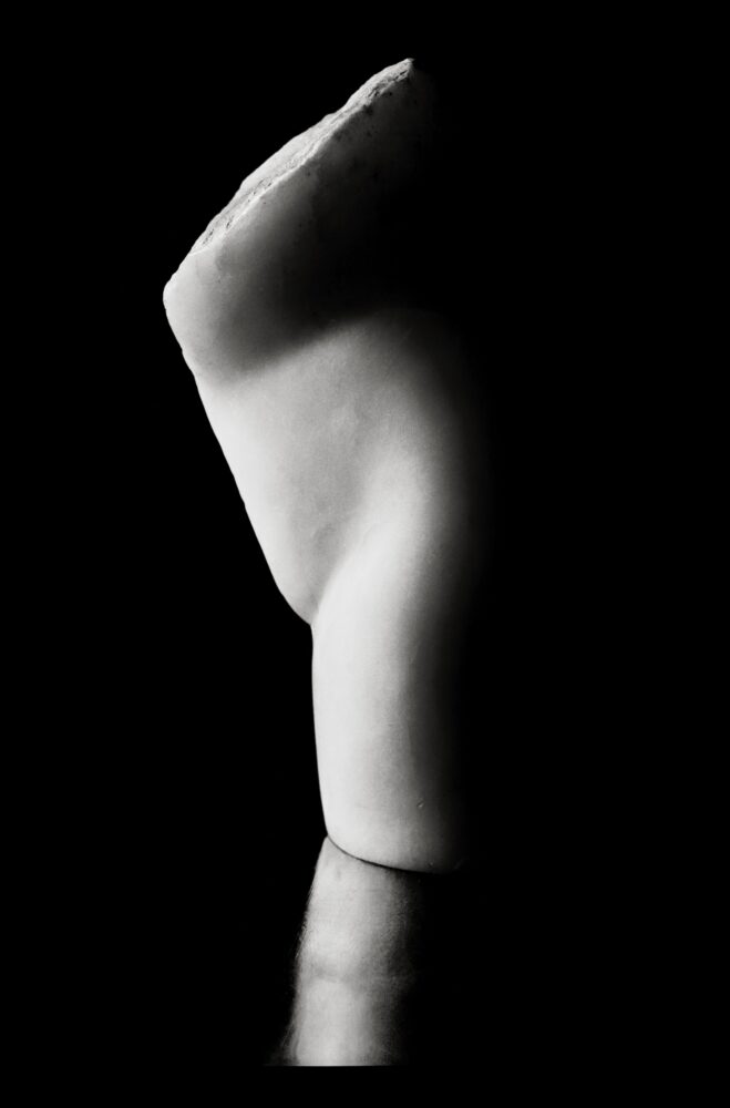 Torse 2 - Galerie Negropontes