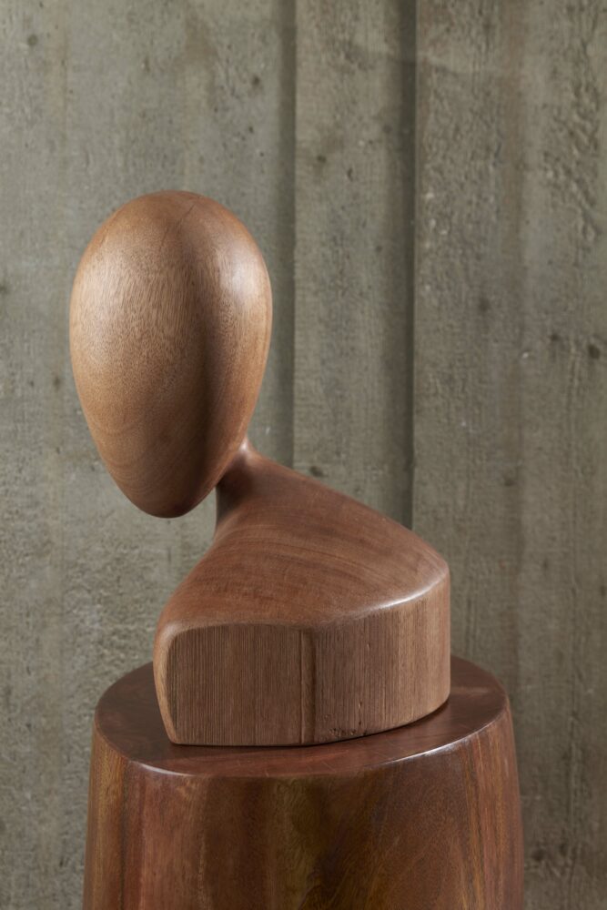 Witness - Galerie Negropontes