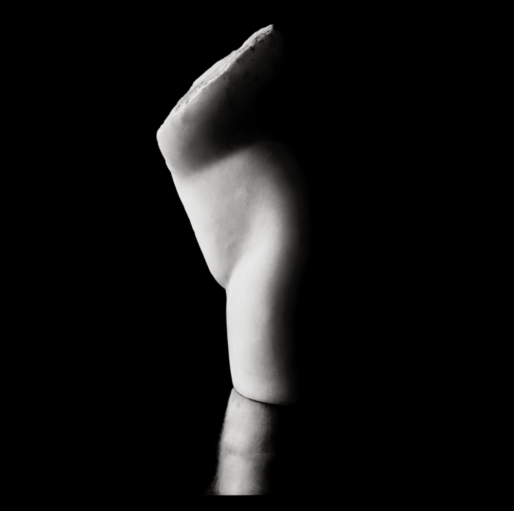 Torse 2 - Galerie Negropontes