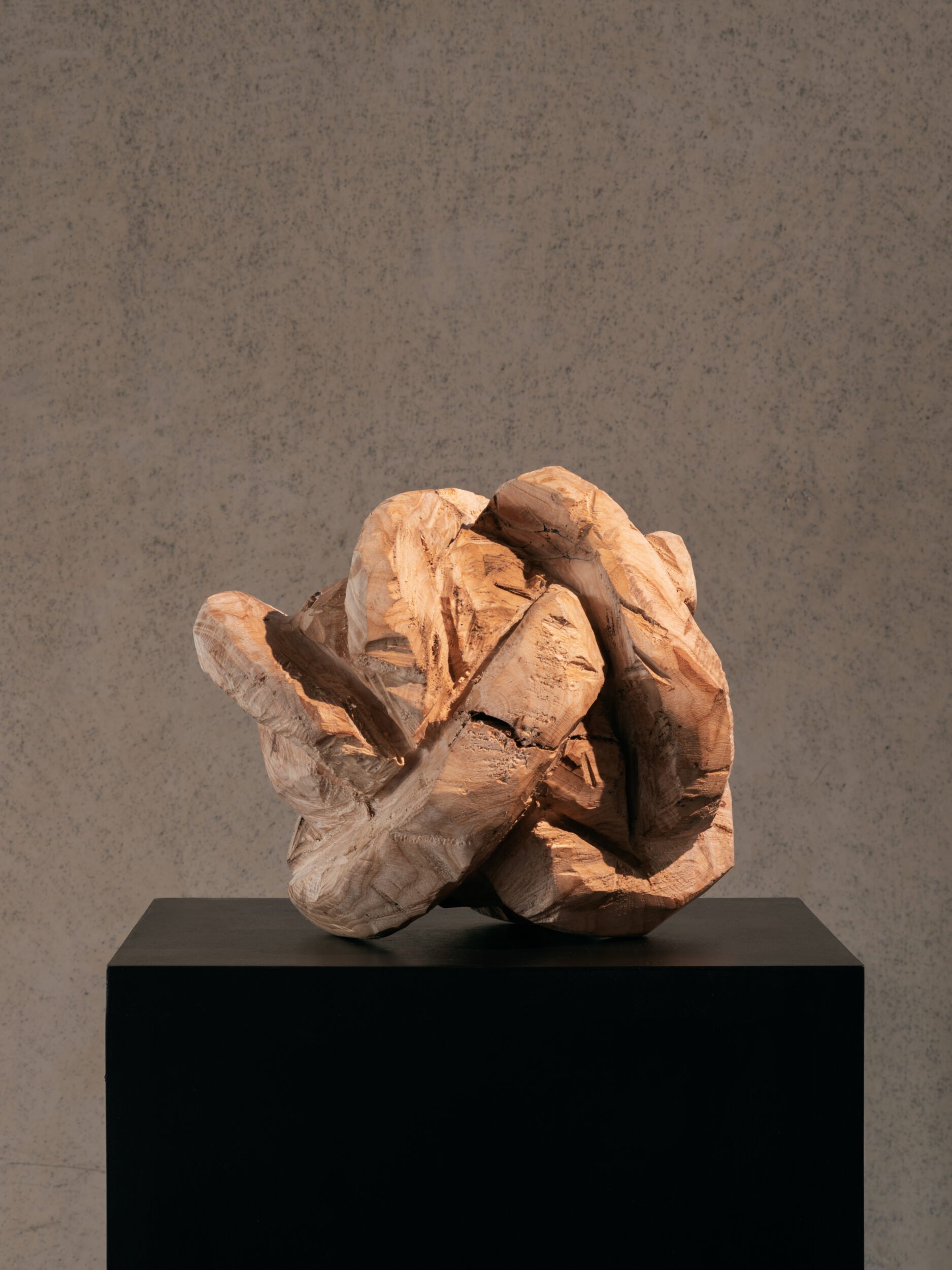 Reflections on Brancusi, Venice - Galerie Negropontes